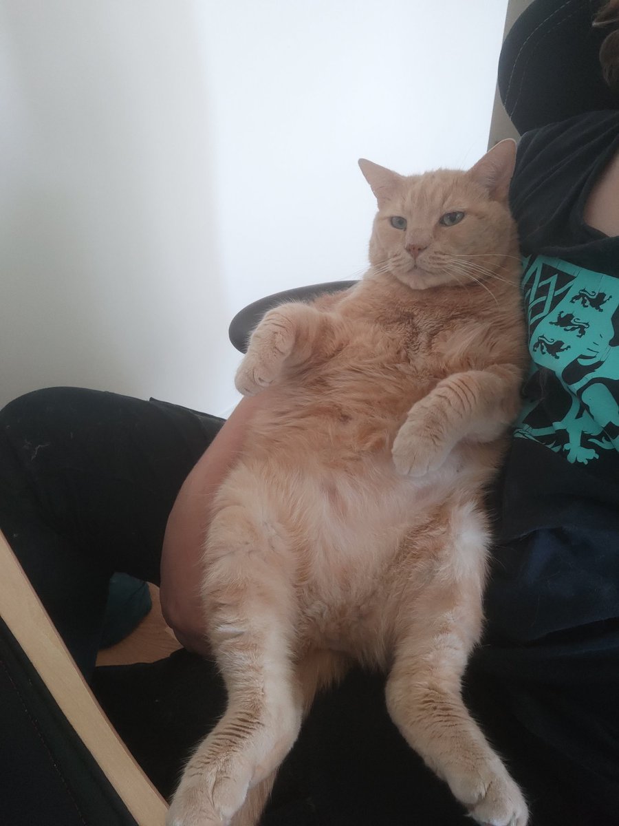 pho𝕏sty tweet media