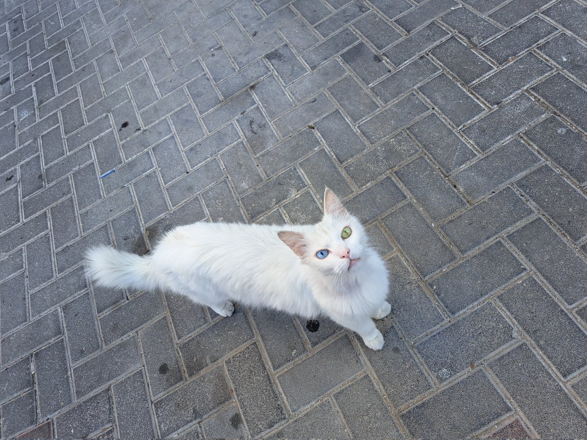 Мой несостоявшийся сосед) #בליפילטרים