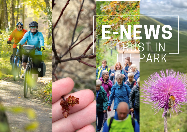Trustinthepark's tweet photo. Our July E-News is out -https://t.co/6UJkbpnJTb

🌳Richard joins our team
🥳Walkers awards
🍓A fruity helping of #InStepwithNature
🚶More dates for our evening #WalkinthePark
🦵Strength + Balance sessions NEW Dates
🧡A walk with @BonnieBootsUK
🚴Aberfoyle Gala - Bring your bikes https://t.co/o10Zbj8eyp