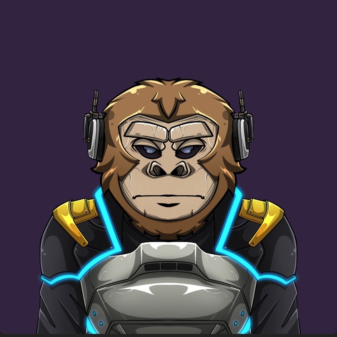 saX_x93's tweet photo. i only have 3 of these crazy monkeys
should I arrive at 10 before Saturday?
this community is really real ๐ฆ make yourself heard here
@MrMintETH
#hyperkong #PolygonNFT
#NewProfilePic https://t.co/DFMagrNAby