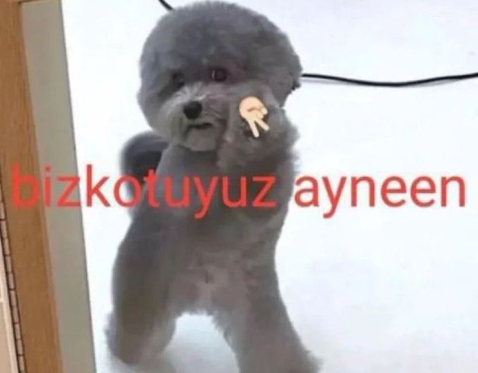 evdeki tüm bireylerden azar işittikten sonra Eminenin verdiği cevap :
