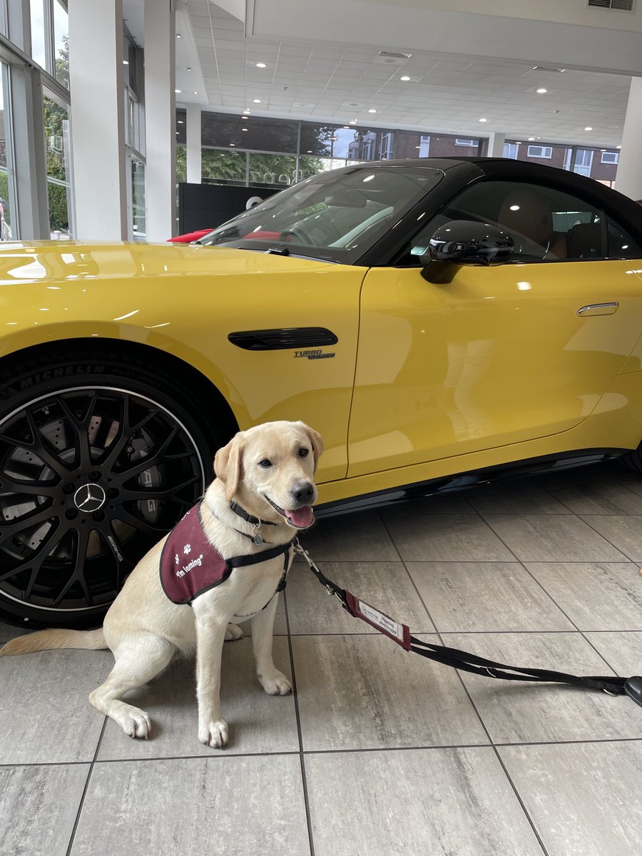 Many thanks to the team ⁦<a href="/MercedesBenz/">Mercedes-Benz</a>⁩ team at Beaconsfield for their great support and contribution to ⁦<a href="/HearingDogs/">Hearing Dogs for Deaf People</a>⁩ ⁦<a href="/VolTeamHDogs/">Volunteering H-Dogs</a>⁩ ⁦<a href="/KGHearingDogs/">Kevin Game</a>⁩