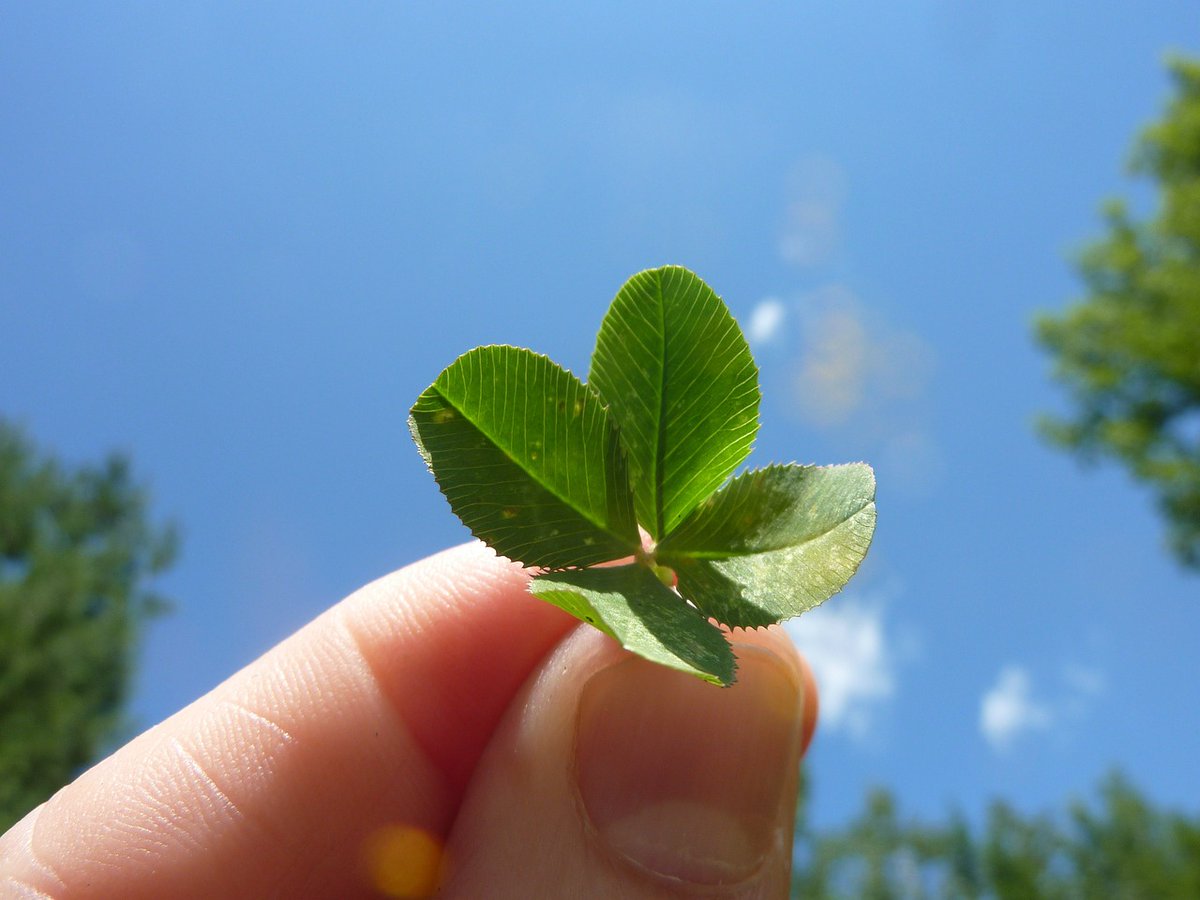 GETINTOUCHBOOKS's tweet photo. BYTE SIZED MONEY AND BUSINESS SOLUTIONS
SUPERSTITION AND BUSINESS
People are prone to superstition when there is uncertainty  in their business.  This uncertainty  leads to the idea that luck is somehow manageable and can be altered.  
Peter Bull MBE FRAS https://t.co/0JnJKKHe1U
