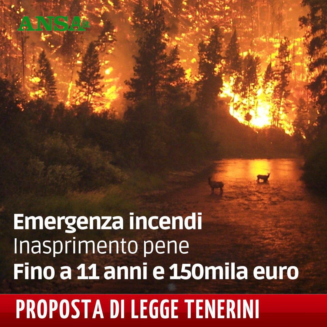 Ho depositato una proposta di legge volta all’inasprimento delle pene per chi si macchia del reato di incendio. 

#incendi #incendio #emergenza #doloso #criminale #propostadilegge #pdl #governo #Italia #reato