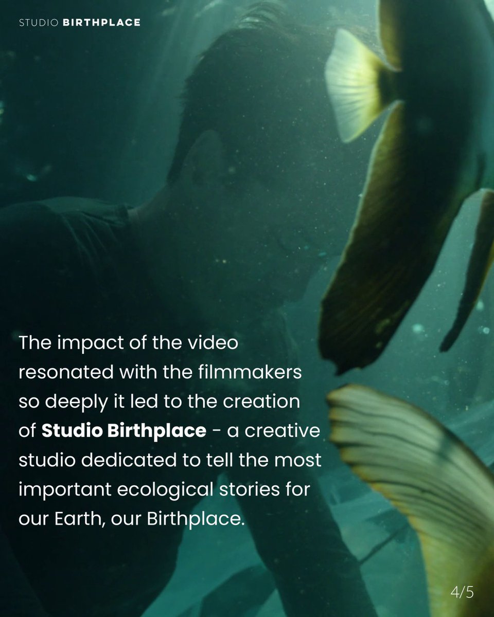 Studio Birthplace tweet media