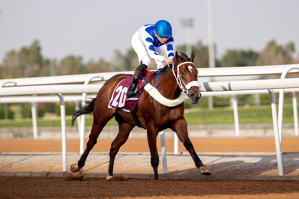 JockeyClub_SA's tweet photo. نتيجة الشوط الـ 3 الحفل ( 23 ) 

▫️الفائز : سمو
▫️المالك : متعب عبدالرحمن ابراهيم الجهيم
▫️المدرب : عبدالله السماعيل
▫️الخيال : جيمي كاريون
▫️المسافة : 1400م
▫️الزمن : 1:29.00 

#نادي_سباقات_الخيل 🐎 https://t.co/4jY6i0aXPv