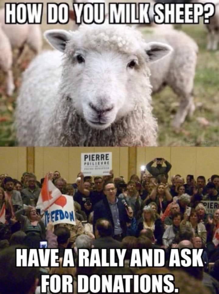 James Cameron tweet media