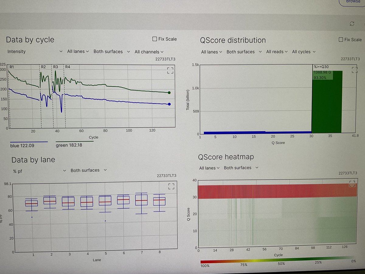 CatharineAquino's tweet photo. Our courtship period with our Queenie #NovaseqX @illumina is almost over.  We loaded a 10X library at 110pM (lane1-4), 100 (5-6) and 90pM (7-8) instead of 150pM which gave us less than 10B last time and this worked so much better! https://t.co/c5OTjDmKnR