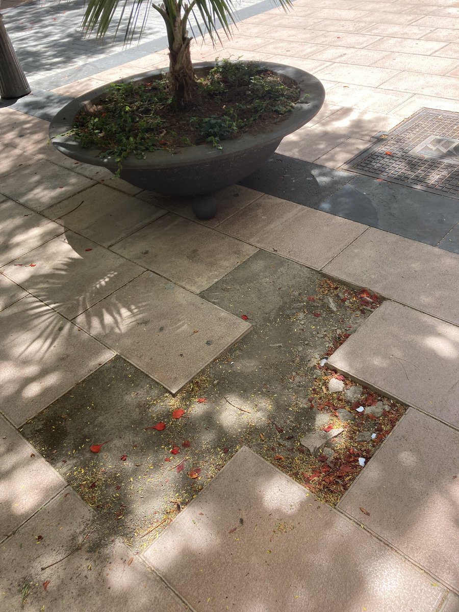 evasmartin's tweet photo. Hola @santacruz_ayto hoy he sufrido una caída debido a este socavón en la calle #BethencoutAlfonso . Podrían por favor enviar a alguien para repararlo ASAP? Es peligroso para peatones y la seguridad de todos es primordial #espaciopublico #mejoremosnuestraciudad #quejaciudadana https://t.co/c68Dxwxq5h