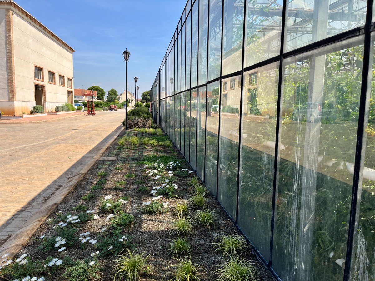 UrbanGreeningEU's tweet photo. Projar Group collaborates in the #TERRAX Project, designed to be applied in urban environments with a high population concentration such as cities, airports, or areas with heavy traffic and its objective is to capture environmental CO2.
#Paimed #urbangreening #landscaping #projar https://t.co/H05Ed8aLDh