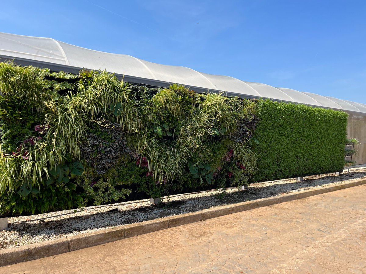 UrbanGreeningEU's tweet photo. Projar Group collaborates in the #TERRAX Project, designed to be applied in urban environments with a high population concentration such as cities, airports, or areas with heavy traffic and its objective is to capture environmental CO2.
#Paimed #urbangreening #landscaping #projar https://t.co/H05Ed8aLDh