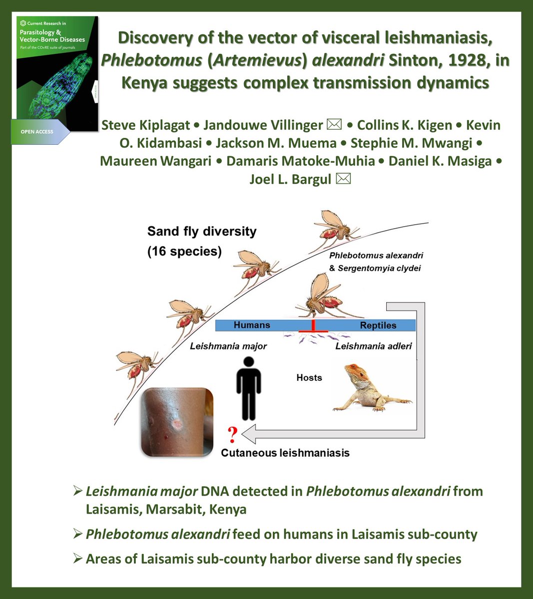 Now in press in Current Research in Parasitology &amp; Vector-Borne Diseases @CRPVBD

▶️sciencedirect.com/science/articl…

#Phlebotomus alexandri #sand flies #Sergentomyia #Leishmania #leishmaniasis #bloodmeal #Kenya

<a href="/Stevogat/">Steve Kiplagat</a> <a href="/kwambo_2/">Damaris Matoke</a>