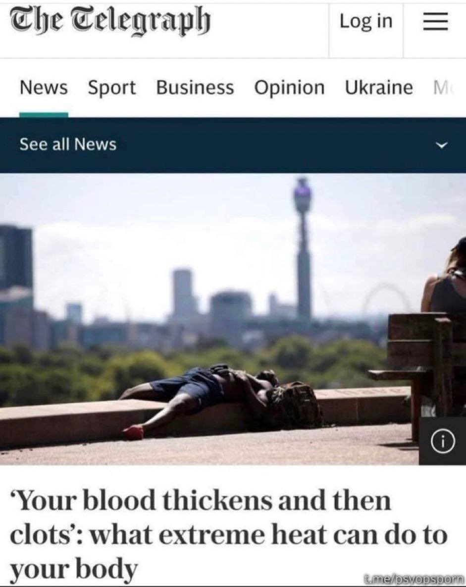 Died Suddenly tweet media