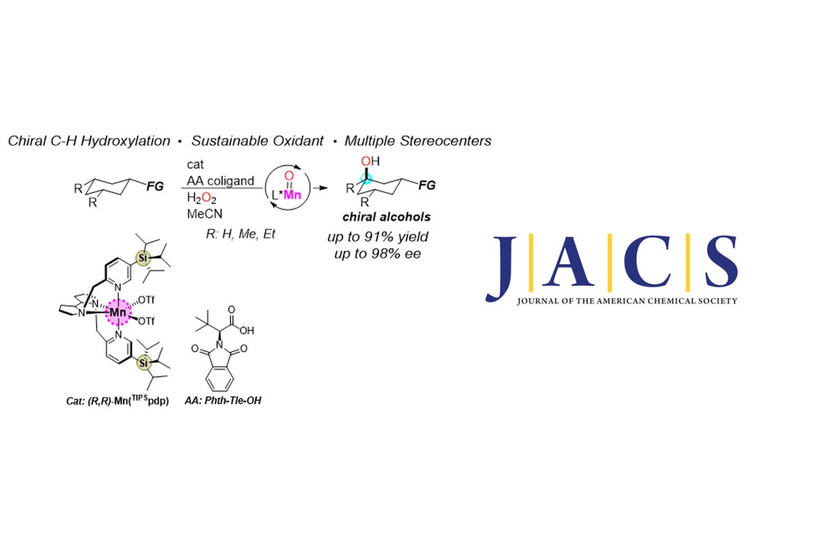 Check our latest work about C–H Bonds as Functional Groups: Simultaneous Generation... by @palone_andrea @GuillemCasaF @DrKoroki @ArnauCall @silviaosu @MiquelCostas in collaboration with @MassimoBietti in @J_A_C_S #IQCCpaper @QBIScat_UdG @TCBioSys iqcc.udg.edu/wordpress/2023…