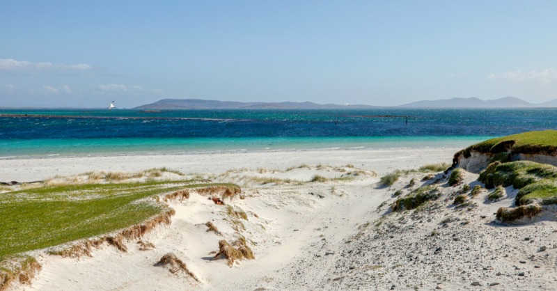 VisitScotland's tweet photo. Taking a walk in nature in #Scotland is the perfect way to clear the heid! 😌👣