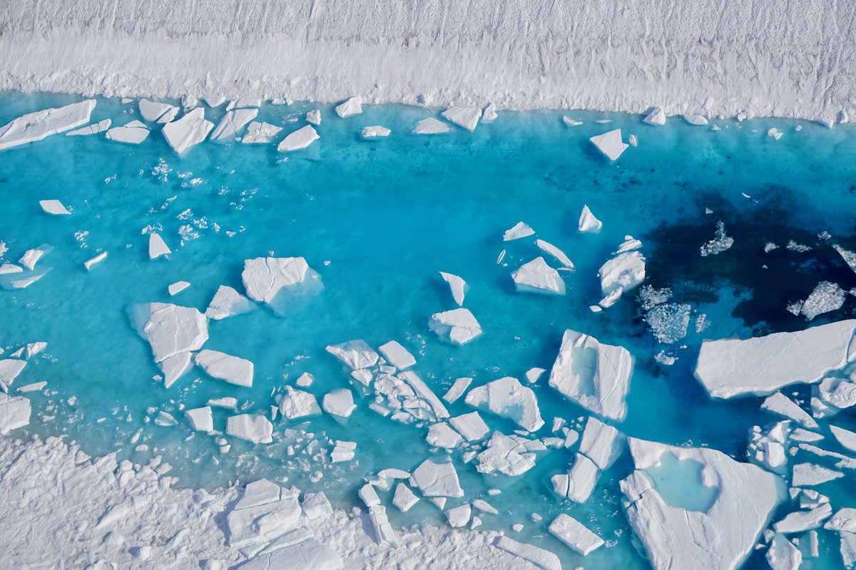 The 79°N Glacier in northeast Greenland suffers under a warming climate! 

New <a href="/AWI_Media/">AWI Media</a> and <a href="/GROCE79N/">Greenland Ice sheet-Ocean Interaction</a> study published as preprint: 
Extreme melting at Greenland’s largest floating ice tongue

doi.org/10.5194/egusph…

1/4