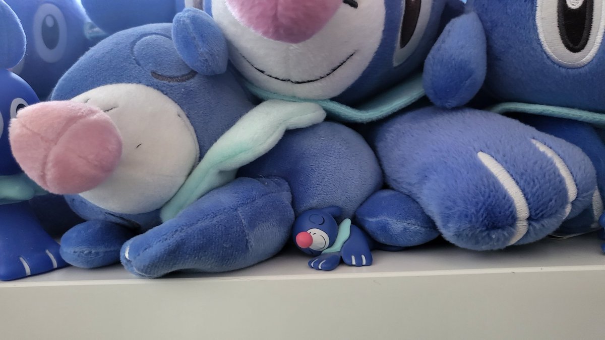 popsterity's tweet photo. happy #PopplioDay ! #アシマリの日 https://t.co/dtwhYfxs5b