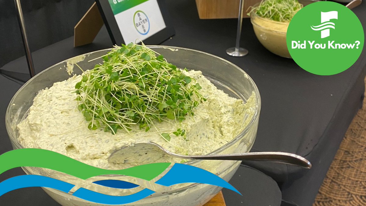 DYK? We welcome clients who make local ingredients a priority! We regularly serve Nice Family Farm Microgreens, Tuddenham Farms to name a few. The earlier we chat the better to source local (with the best prices)!#SupportFredLocal #Fredericton #eventprofs