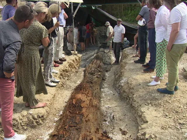 isabellemgs75's tweet photo. Un arbre fossile de presque 15 mètres de long et de 140 millions d'années, nouvelle découverte exceptionnelle sur le site d’Angeac-Charente.
➡️https://t.co/eQ2Du94zB5 https://t.co/4KXbWFGZyX