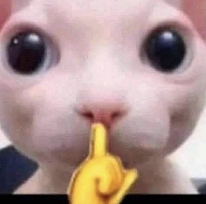 this bro cannot be serious :skull: it got proven false already and ur still holding on? ur a fucking dumbass and im surprised you havent got off the internet. ur being fucking petty, please shut the fuck up, and i wish the worst for you.