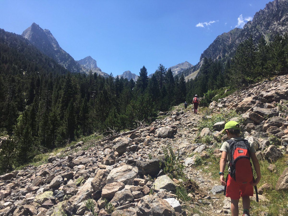 Lloberenc tweet media