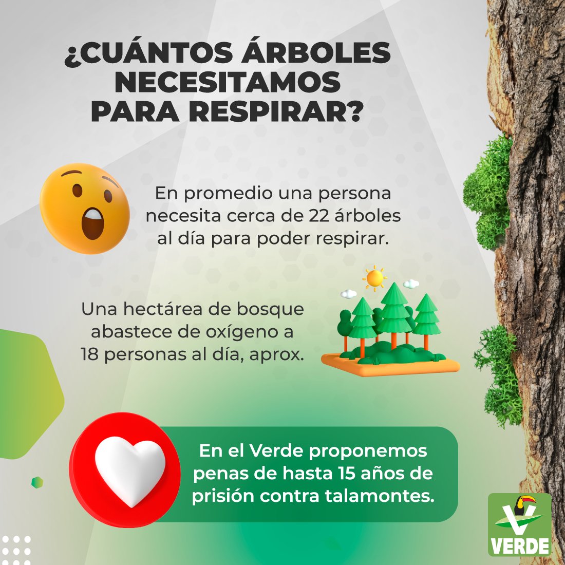 partidoverdemex's tweet photo. ¿#SabíasQue una persona necesita el oxígeno que generan más de 20 árboles cada día para poder respirar?

En el Verde proponemos que se implementen pensas de hasta 15 años a quienes practiquen la tala ilegal.
👉 https://t.co/hzAjNfB7cF

#SomosVerdes https://t.co/8Zu1mkHqJt
