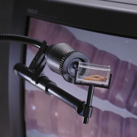 I'm not allowed to look at your tweets.