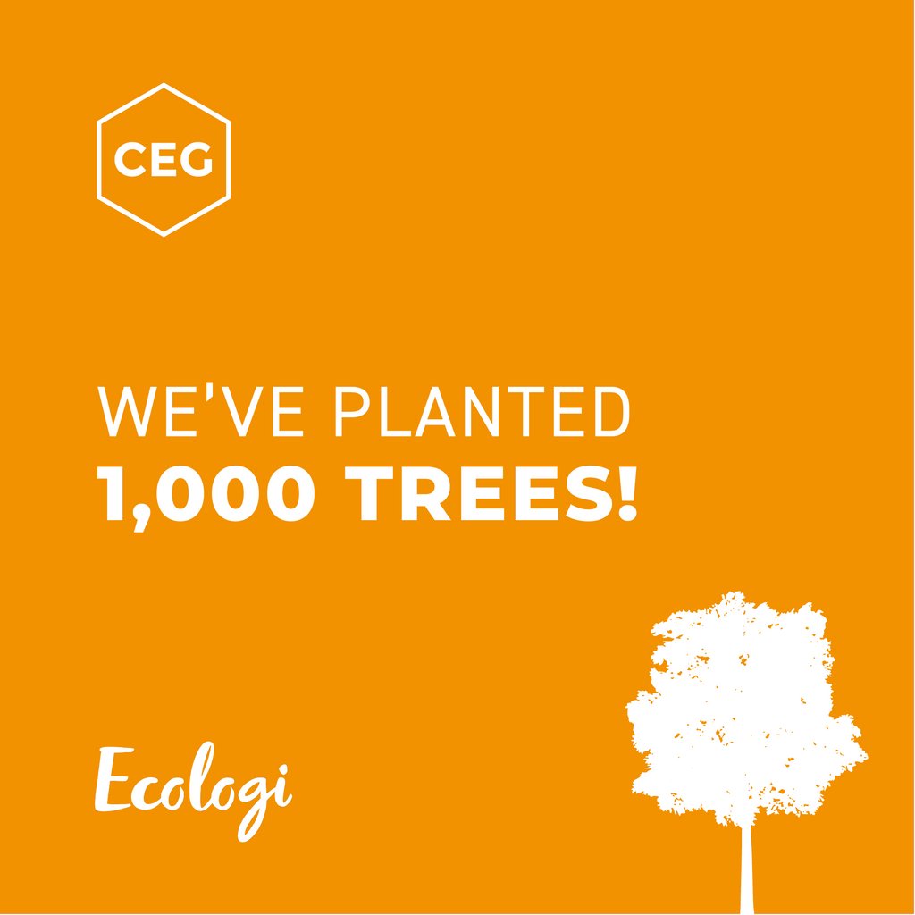 We've helped plant 1,000 trees. Since we joined Ecologi we've already helped supported the prevention of 78 tCO2e being emitted and have funded the planting of over 1,000 trees across 17 different projects.

#ecologi #climatepositiveworkforce