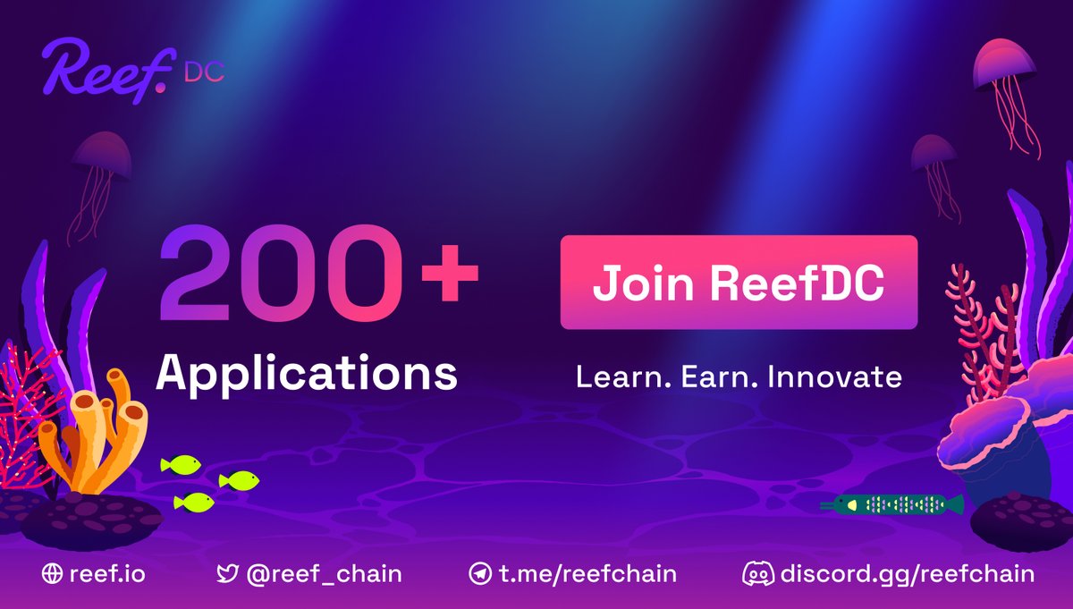 Reef_Chain's tweet image. 1/ 🔥Over 200+ applications received &amp;amp; counting for #ReefDC. 

Come to Learn, Earn &amp;amp; Innovate in the Reef Ecosystem.

Why join Reef DC? 🌊

1️⃣Mentorship from industry experts
2️⃣Earn Rewards &amp;amp; XPs
3️⃣Elevate your portfolio
4️⃣Endless opportunities

Apply: reef-labs.typeform.com/reef-dc