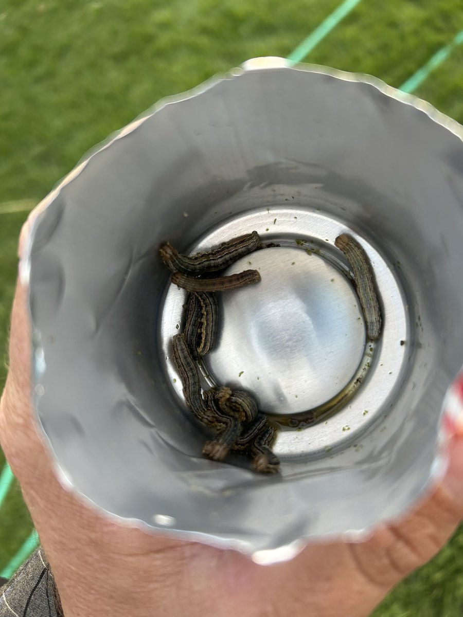 406 Agronomy tweet media