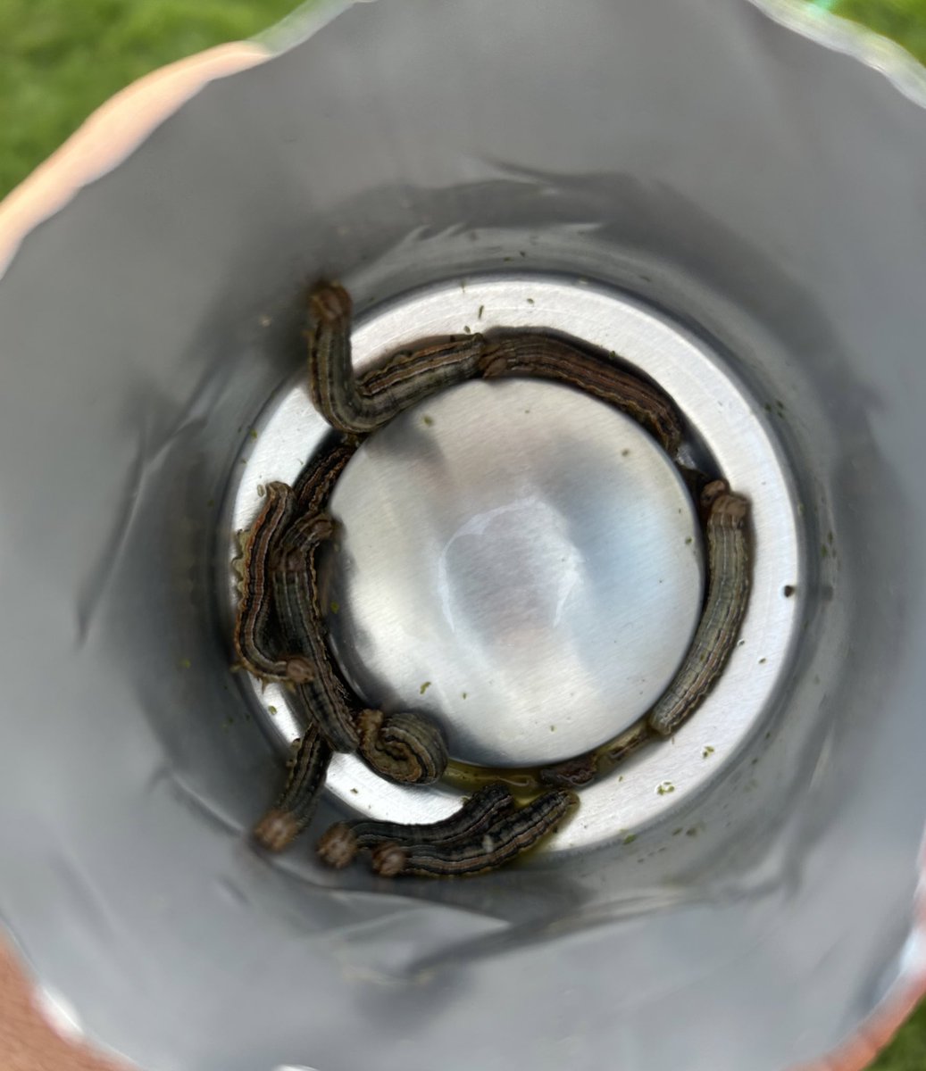 406 Agronomy tweet media