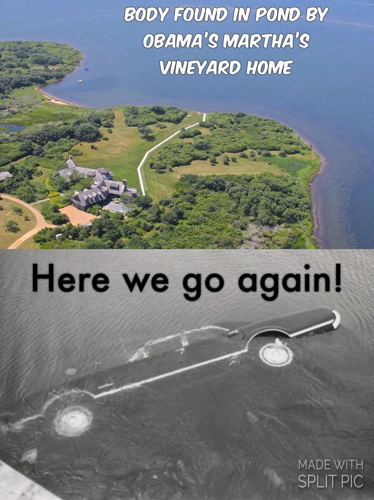 ImperatorTruth's tweet image. #Obama cleaning up loose ends before the big Mike for President 2024 run. #ObamaChef #MemeWars knows the truth.