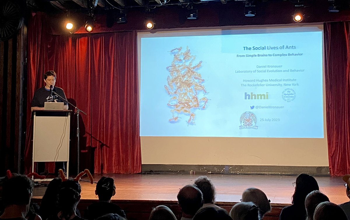 RockefellerUniv's tweet photo. This week @DanielKronauer brought the ants to the people @BellHouseNY through the fantastic @SecretSciClub series. The audience asked a ton of smart questions, and the entire lab turned out in custom tees to represent their Clonal Raider Ant Project! https://t.co/YgWf08QjqW