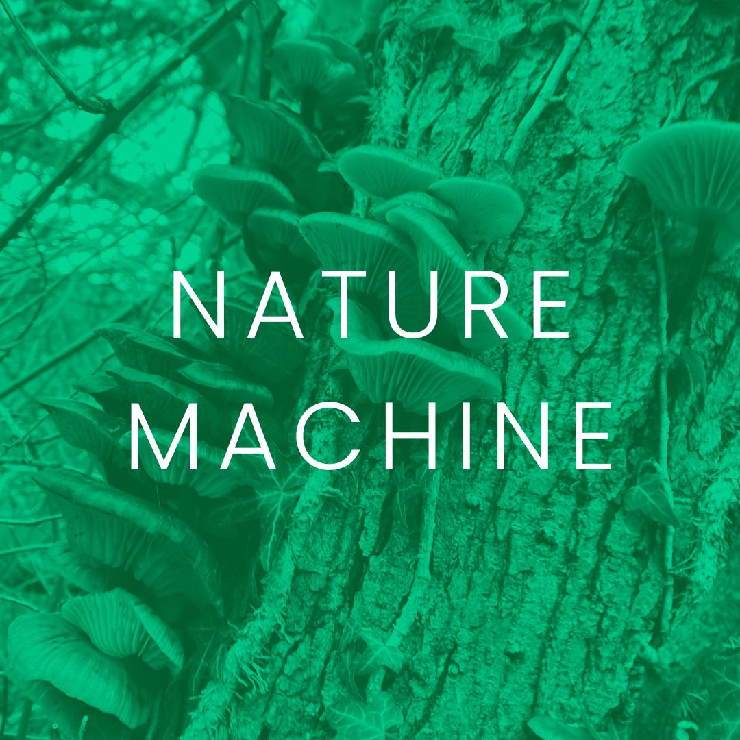 brew_projects's tweet image. Nature Machine is currently open at LEVEL until 1 Sept 2023. Learn more at brewprojects.co.uk/naturemachine 📷⁠
As part of the exhibition we&apos;ll be holding a drop-in workshop on 17 Aug 2023, over at Bakewell House museum. Find out more at fb.me/e/1bBN8rtOh
#NatureMachine