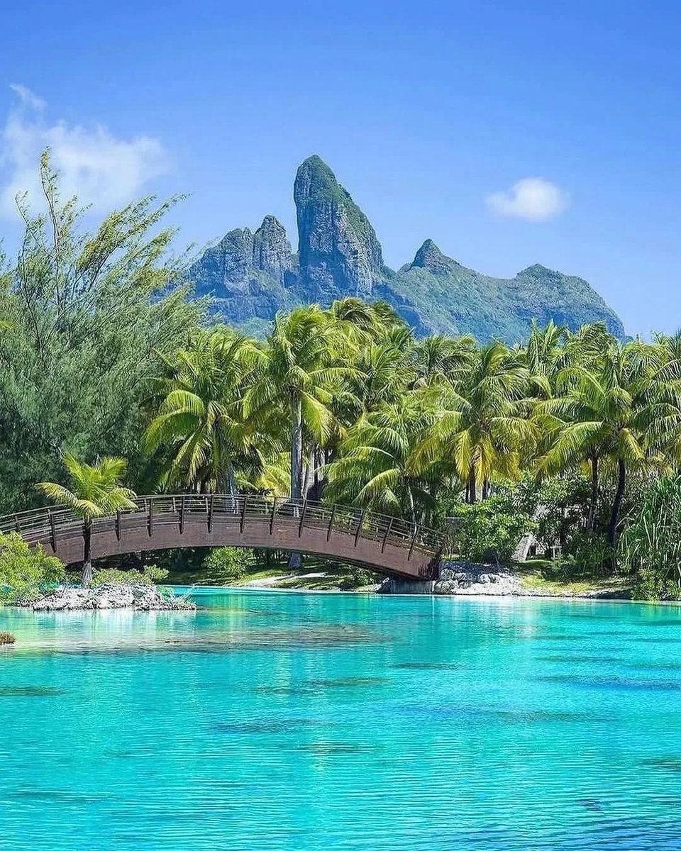 TheVacationator's tweet photo. Bora Bora 🏝 https://t.co/HFc5YKOoKq