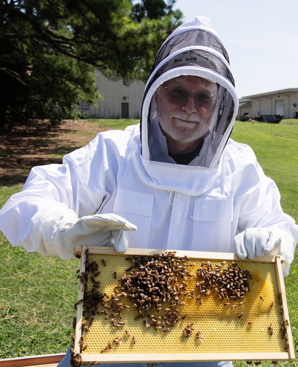 AgNews479's tweet photo. Meeting neighbors at the new AAES apiary at the Agricultural Research and Extension Center in Fayetteville. Thanks to my entomology friends for helping me get comfortable with the little crawlers and fliers with which we share the Earth. @AgWriterArk @AginArk #bees #entomology https://t.co/mBwWezvqtH