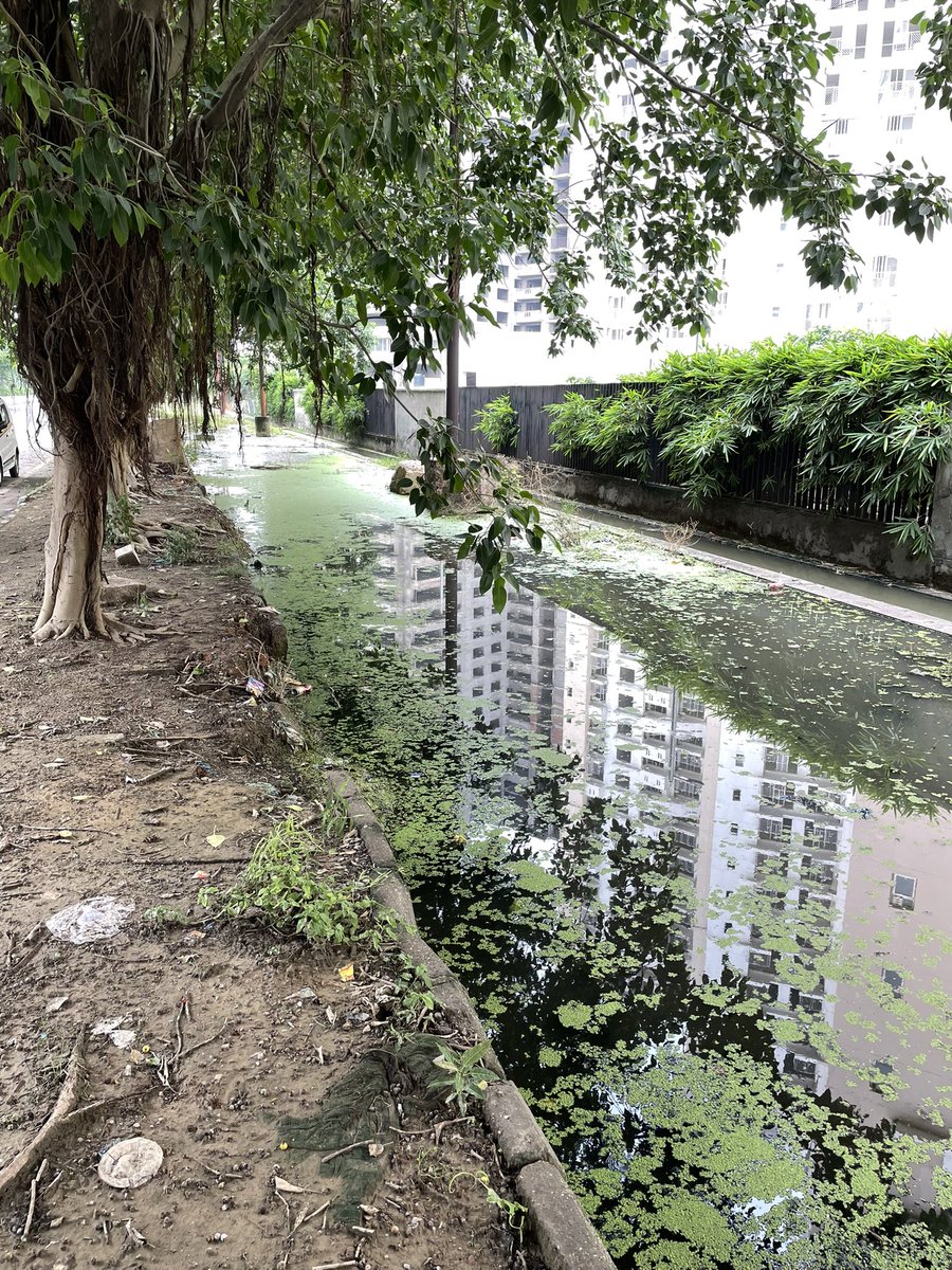<a href="/noida_authority/">NOIDA Authority</a> <a href="/CeoNoida/">CEO, NOIDA Authority</a> : please visit Logix Blossom Green Society sector 143 to see the blocked overflowing drain causing lot of discomfort to the residents. Please take this up on priority.