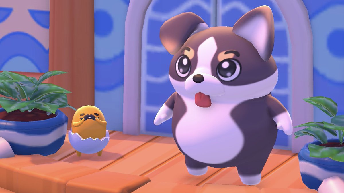 isthereacorgi's tweet photo. You can be a corgi in Hello Kitty Island Adventure!
🍎🕹️Available on Apple Arcade
#HelloKittyIslandAdventure https://t.co/VGrtkQwlJ2
