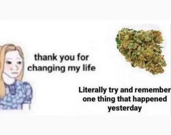 GeniusPothead 💹🧲 tweet media
