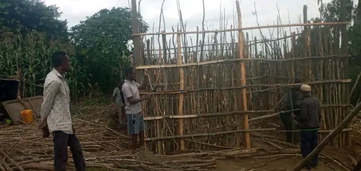 fozimohammed59's tweet photo. The volunteer work of building houses for the poor in #Bedeno district of Eastern Hararge Zone is going well ! https://t.co/fVA9mxASPc