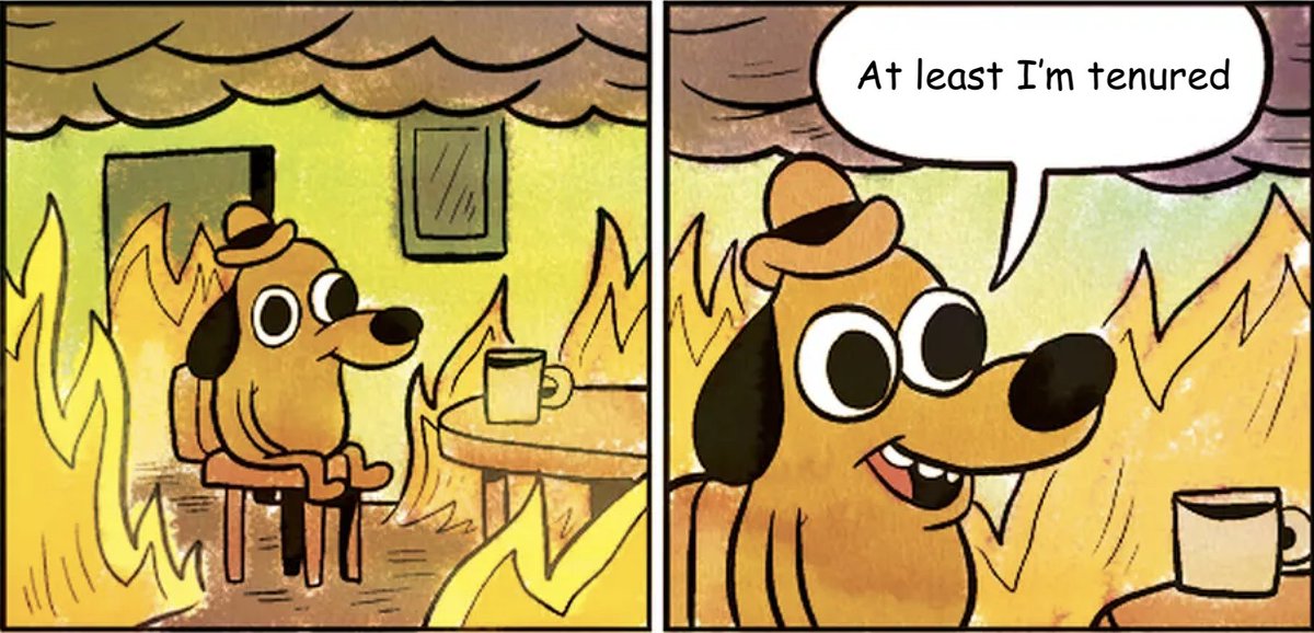 ibn_kato's tweet photo. well at least this hellsite lasted long enough for me to share some good news https://t.co/s4PVp5nTz3
