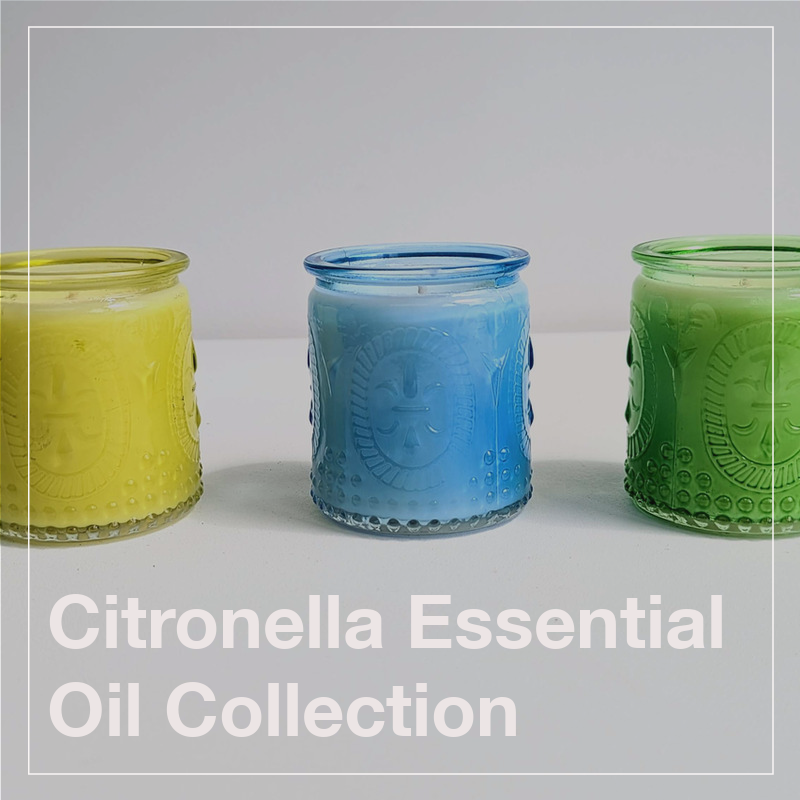 FifibellsG's tweet photo. Clearance!
As we approach August, the Citronella Range bids farewell for the year. Hurry and grab the remaining Citronella Candles at a discounted price of £6
Wax Bars and Room Mists have already sold out.
https://t.co/YcN3tEFU4j
#citronella #freepostage #smallbusinesschelmsford https://t.co/Jsje0ymBsr