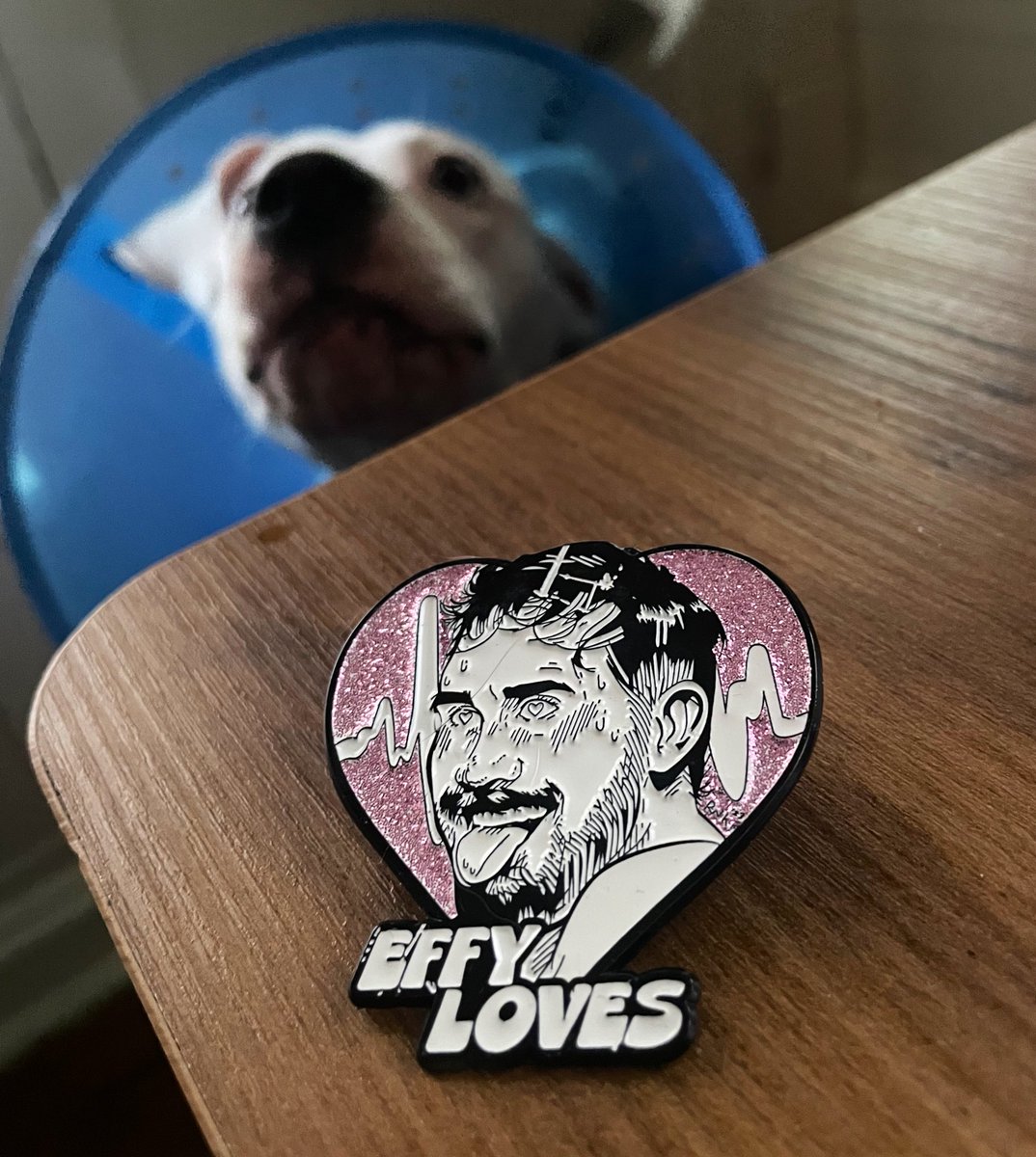 EFFYlives's tweet image. Lucy says get a pin before I leave town.