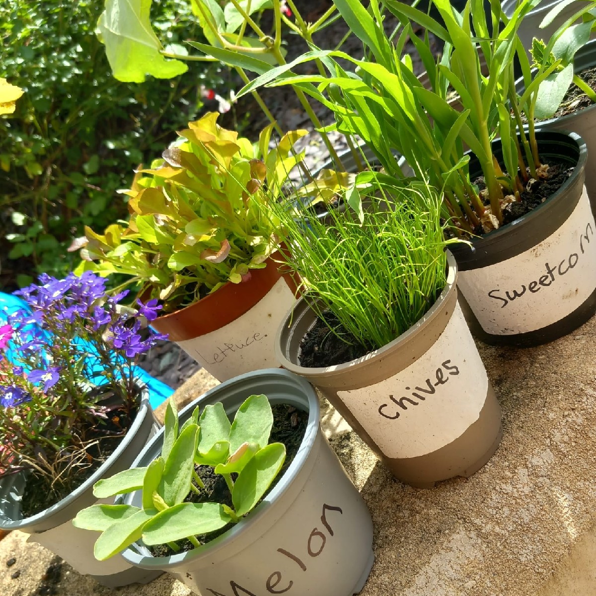 Priesty Fields Care Home tweet media