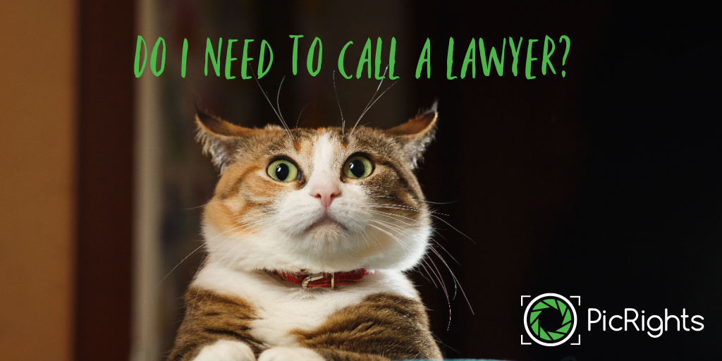 Do I need to talk to a lawyer after receiving a #PicRights notice? Nope, you can talk with one of our Compliance Officers. But we’re not lawyers and you should always get professional legal advice—not from some random Twitter account. ow.ly/YMik50LK1Sp #copyright