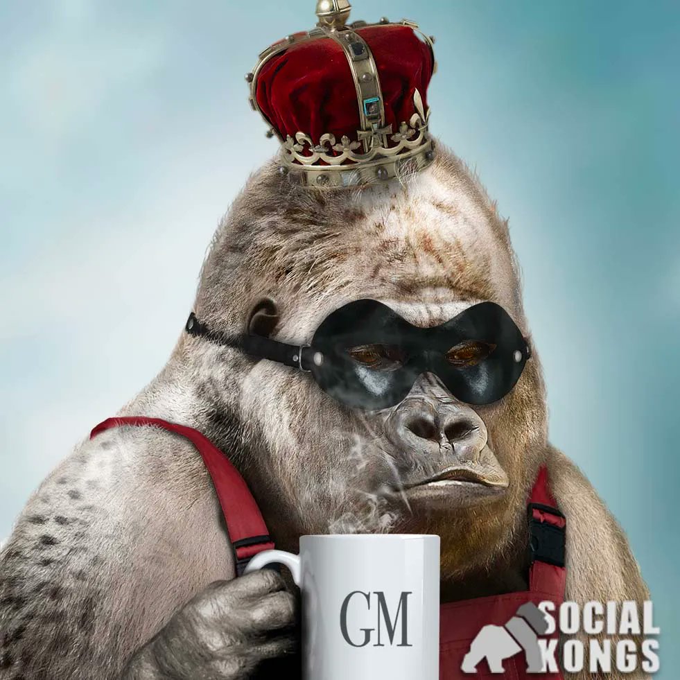 SocialKongs's tweet photo. 🌞 Good morning, #NFTCommunity! The sun's up and so is our epic #SocialKongs giveaway! 3000 FREE Kongs are up for grabs! Ready to start your day with a new digital companion? 🦍 Get involved, it's a jungle out there! #GoodMorning #KongGang #NFTGiveaway https://t.co/NX5KjxmmqJ