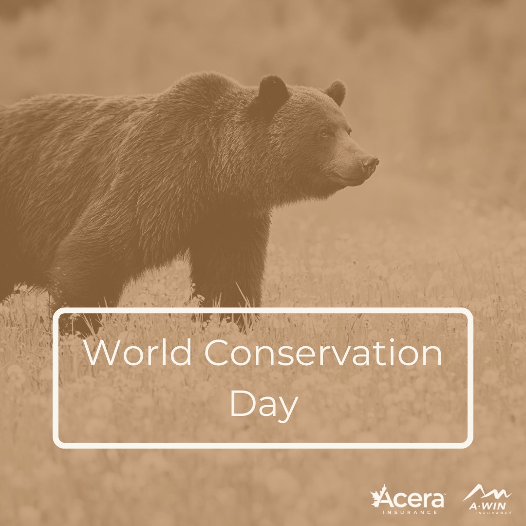 AWINInsurance's tweet photo. It's #WorldConservationDay and that means taking steps to protect our land and water. The Canadian Parks and Wilderness Society is working to conserve natural spaces in Canada and are a great resource to learn more or get involved. https://t.co/0JbD1NAPX6 https://t.co/LMrTnpGElA
