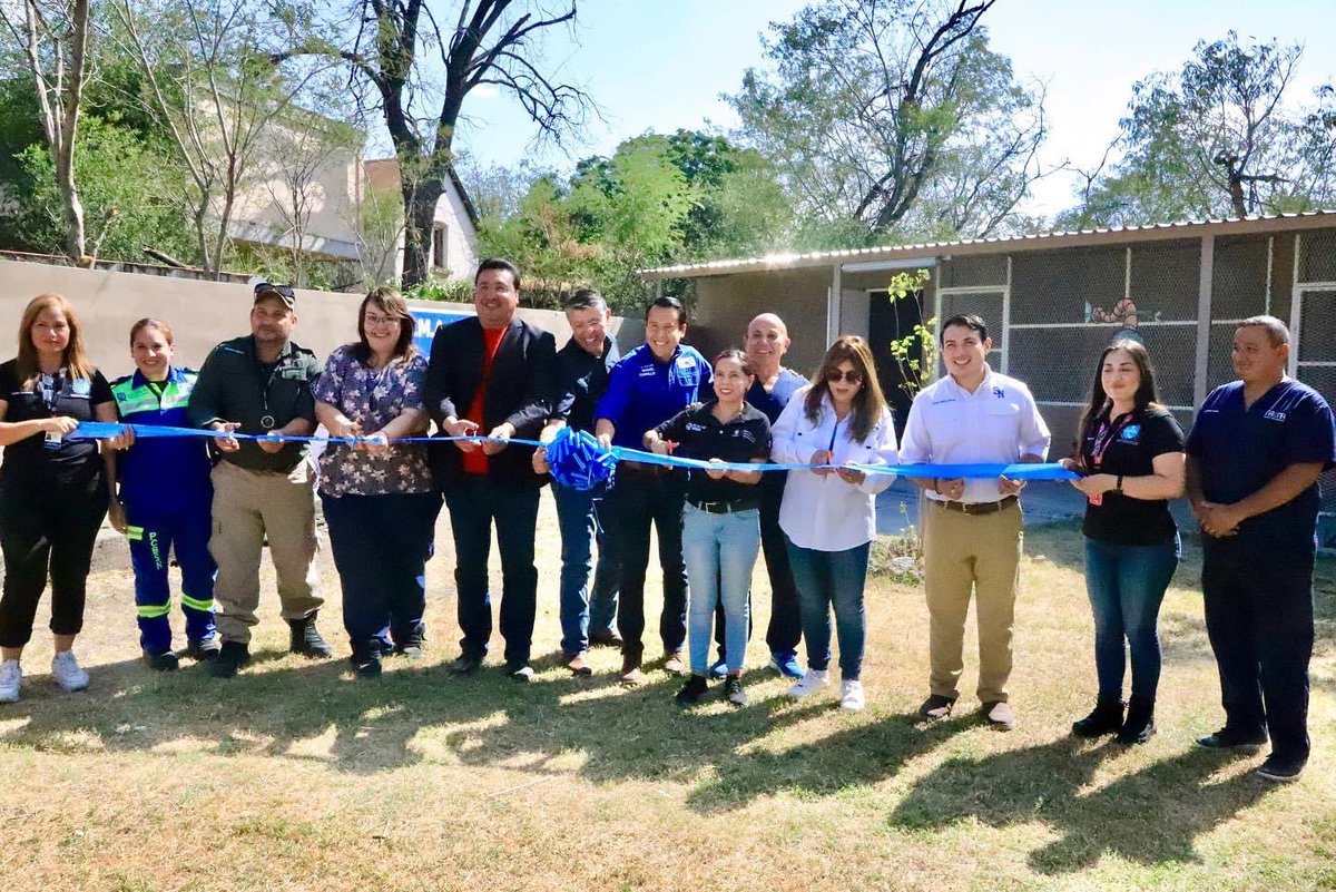 GobSanNicolas's tweet photo. U.M.A ZONA TLACUACHE🦝🪵

Inicia el primer centro de rescate para tlacuaches, el cual dará asilo y atención médica, a estos marsupiales 

¿Qué debo de hacer si veo un tlacuache? Llama a Casa de Bienestar 📞 8181581218 o a Emergencias SN 📞 8181581330 @daniel_carrillo https://t.co/EJemEfr0Wz