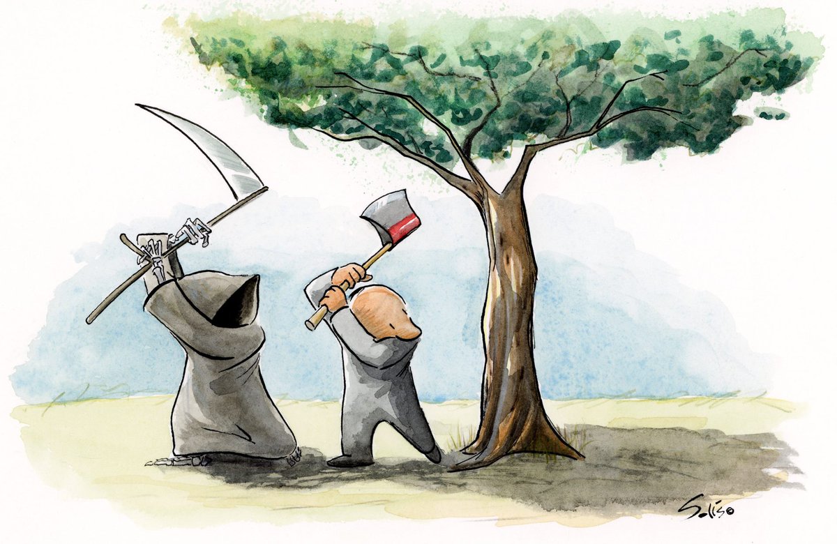 ALEVİLİK İNANCI DOĞAYI KUTSAR!
Yiğit bilge olasın.
Gönlünü Hakk ile bütün kılasın.
Dünya ile dost olasın ama nefsine kapılmayasın.
Kurda, kuşa, ağaca, yerdeki karıncaya kadar bütün canlının hakkını koruyasın.

#AkbeleneDokunma