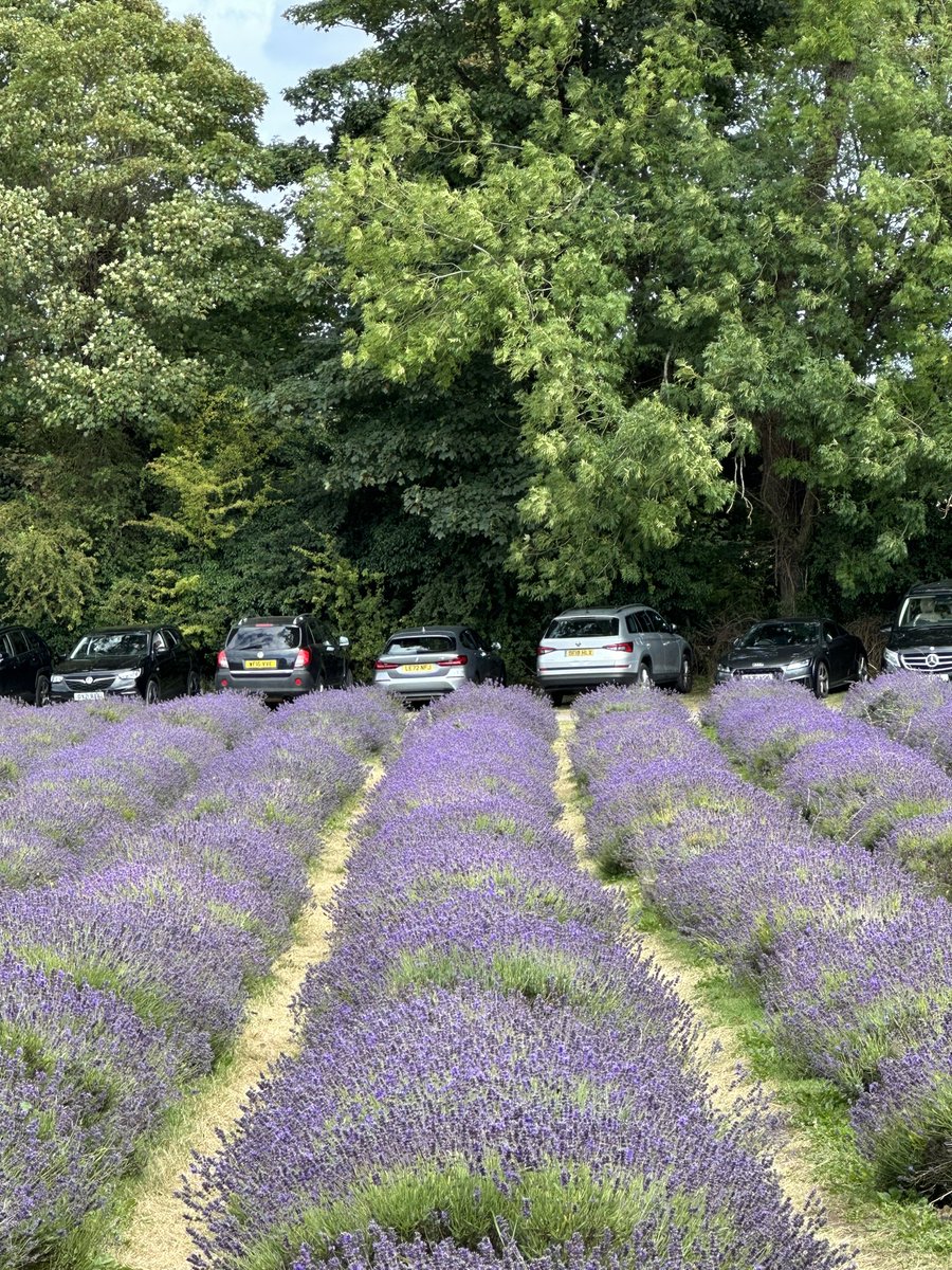 المادحون وان ارضوا قوافيهم
باق بأنفسهم من عجزهم حرج

كم حاولوا فيك معراجا فما بلغوا
وكلما  عرجوا  ازري  بهم  عرج

محمد انت عطر الروح ما نطقت
شفاهنا   بك  إلا  سبّح    الارج

صلت  عليك    سماوات وأزمنة 
ما ضاق كرب بنا  أو أسفر الفرج

*اللهم صل وسلم على سيدنا محمد*